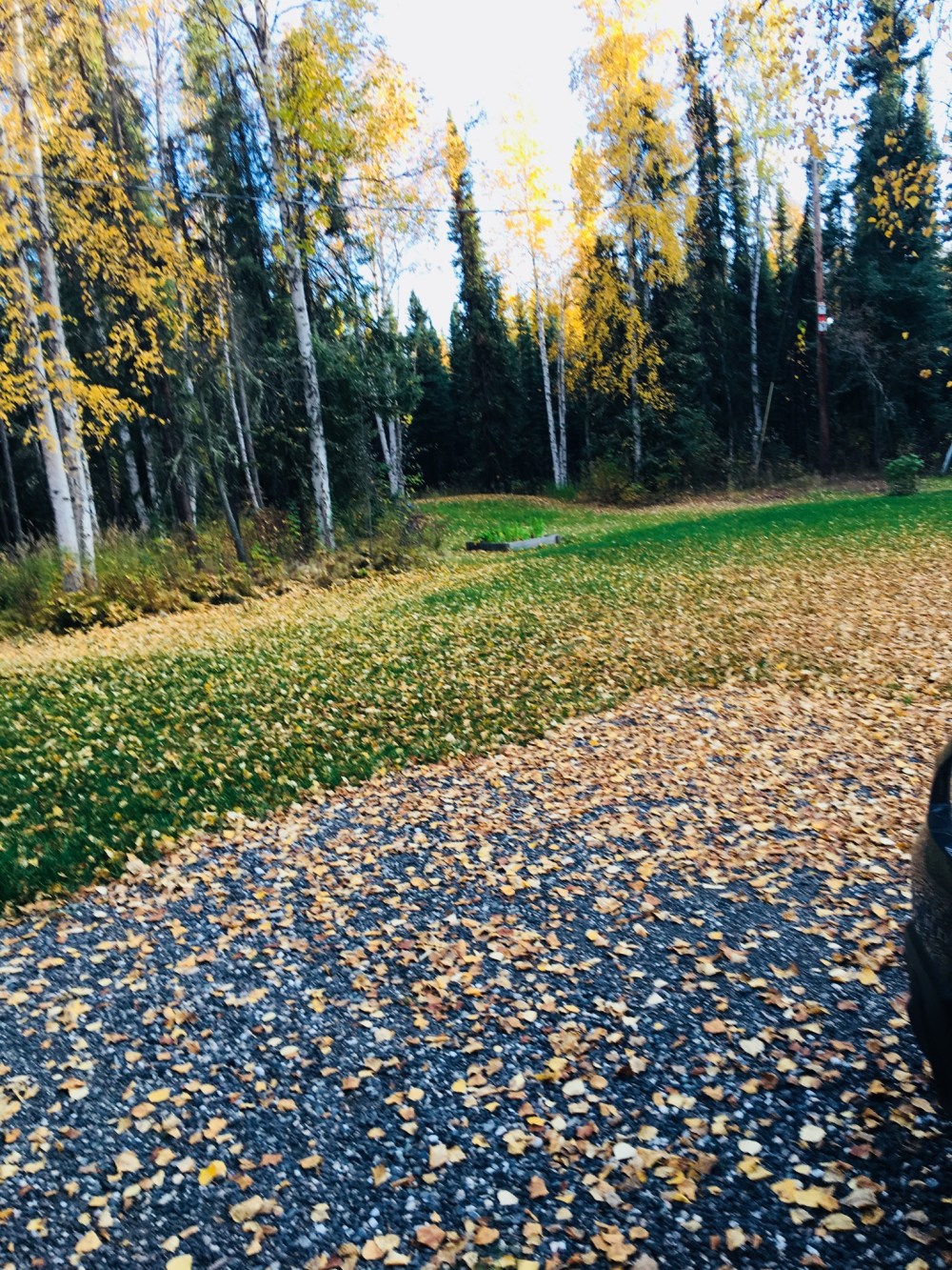 11051EDA-25CB-4D8F-817E-5F5B78C85092